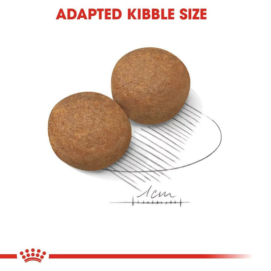 royal-canin-maxi-adult-dry-dog-food