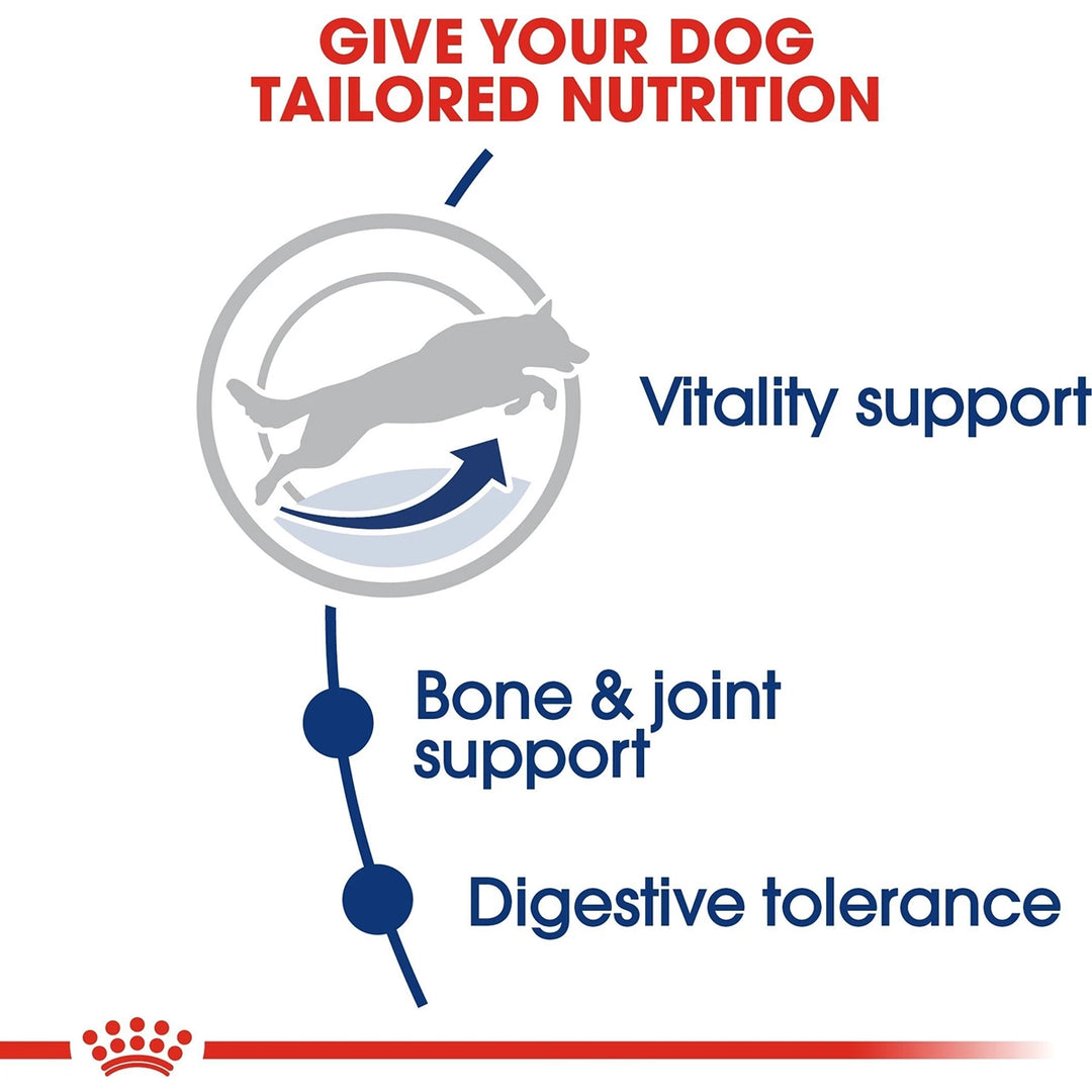 Royal Canin Maxi Adult 5+ Years Dry Dog Food - 4kg