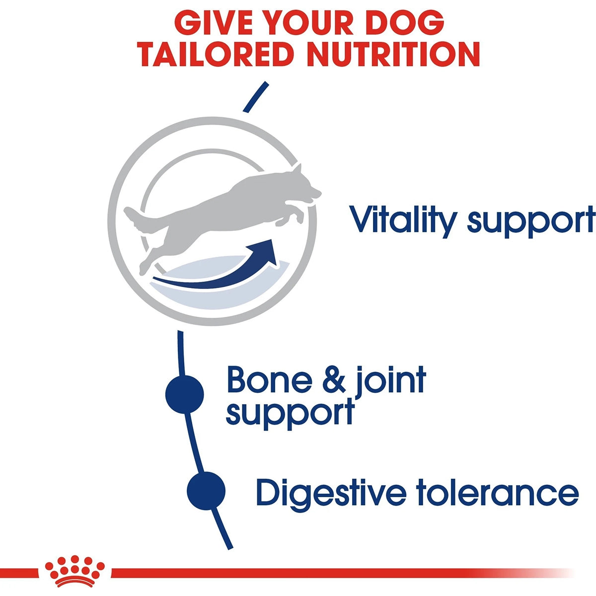 Royal Canin Maxi Adult 5+ Years Dry Dog Food - 4kg