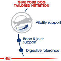 Royal Canin Maxi Adult 5+ Years Dry Dog Food - 4kg