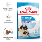 Royal Canin Giant Starter dog food for mother and baby dog, available at Zigly.
