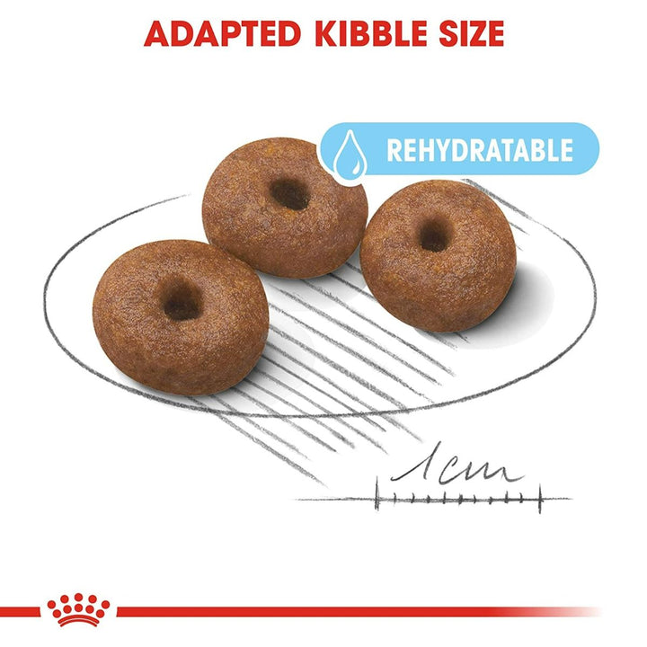 Royal Canin Giant Starter Dry Dog Food