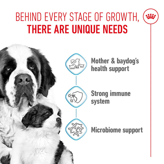 Royal Canin Giant Starter dog food benefits for mother and puppy, available at zigly.