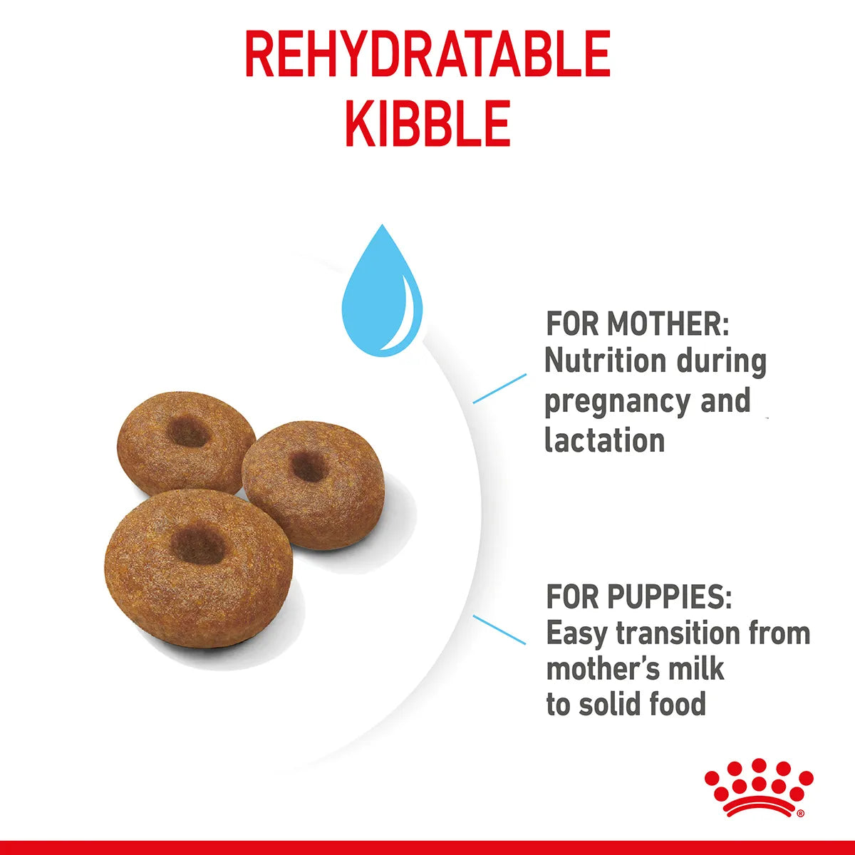 Royal Canin Giant Starter rehydratable kibble for mother and puppies from zigly
