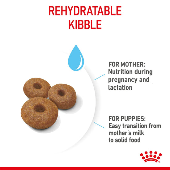 Royal Canin Giant Starter rehydratable kibble for mother and puppies from zigly