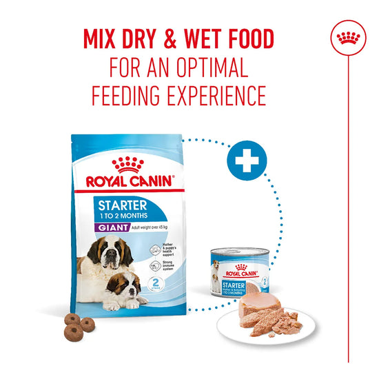 Royal Canin Giant Starter dry and wet puppy food mix for optimal feeding on Zigly