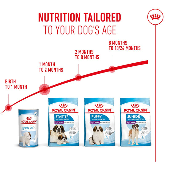 Royal Canin Giant puppy nutrition guide across growth stages from Zigly