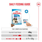 Royal Canin Giant Starter daily feeding guide for 1 month old puppies from zigly