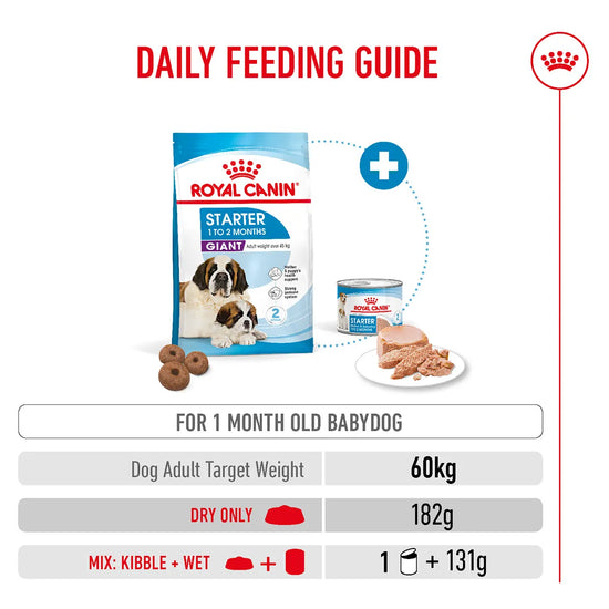 Royal Canin Giant Starter daily feeding guide for 1 month old puppies from zigly