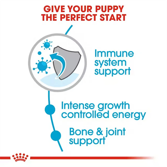 Royal Canin Giant Puppy food benefits: immune system, growth energy, and bone support at zigly