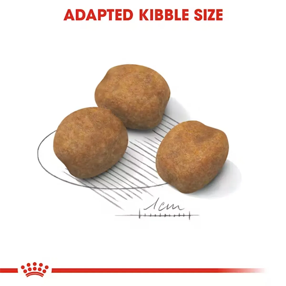 Royal Canin giant puppy dry dog food kibble size demonstration on zigly