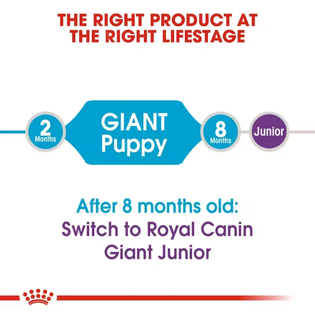 Royal Canin Giant Puppy feeding guide timeline from 2 to 8 months available at Zigly