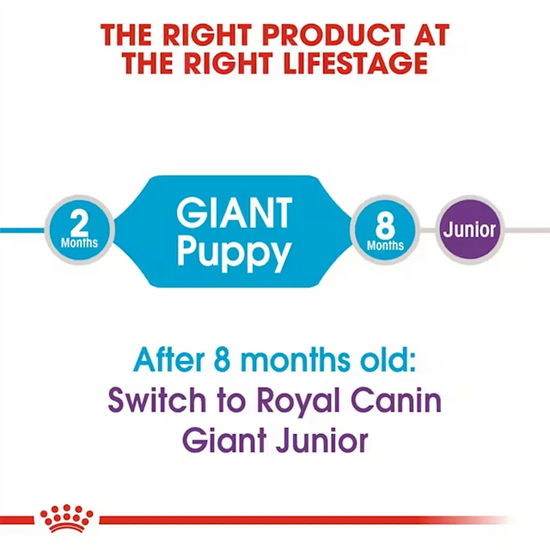 Royal Canin Giant Puppy feeding guide timeline from 2 to 8 months available at Zigly