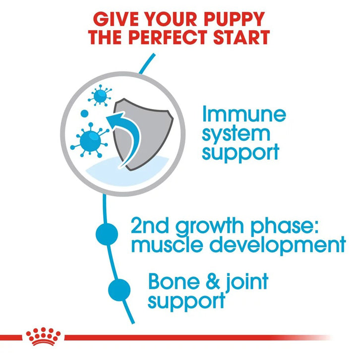 Royal Canin Giant Junior Dry Dog Food - 3.5kg