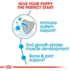 Puppy immune system and bone joint support with zigly