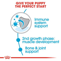 Royal Canin Giant Junior Dry Dog Food - 3.5kg