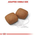 Adapted kibble size dog food, 1cm pieces for easy chewing, zigly
