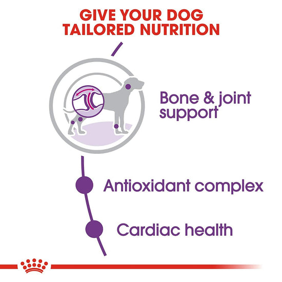 royal-canin-giant-adult-dry-dog-food