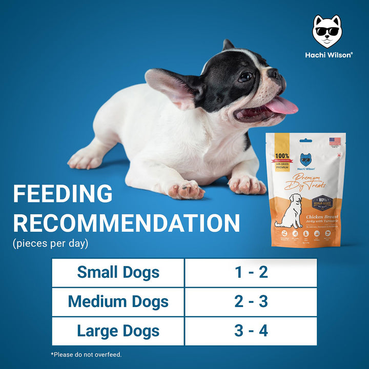 Hachi Wilson Chicken Breast Jerky with Turmeric Premium Dog Treat - 70g