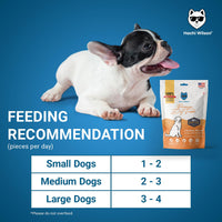 Hachi Wilson Chicken Breast Jerky with Turmeric Premium Dog Treat - 70g