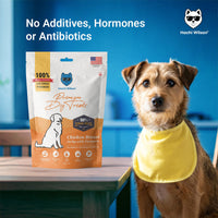 Hachi Wilson Chicken Breast Jerky with Turmeric Premium Dog Treat - 70g