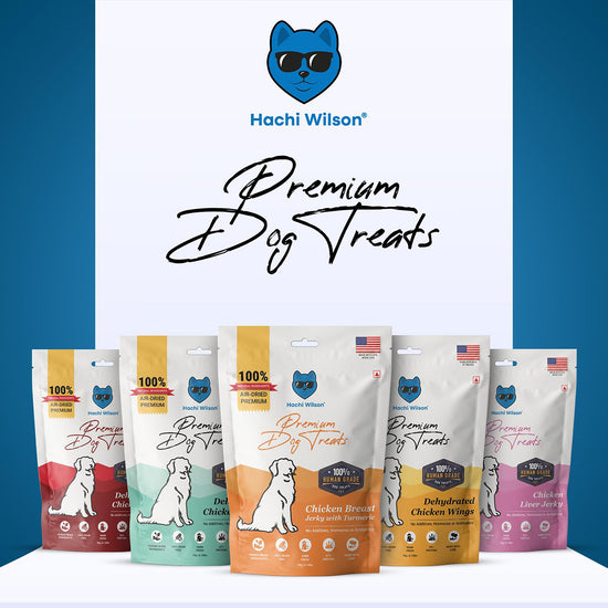 hachi-wilson-chicken-breast-jerky-with-turmeric-premium-dog-treat-70g
