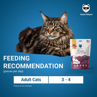 Hachi Wilson Chicken Liver Jerky Premium Cat Treat - 70g