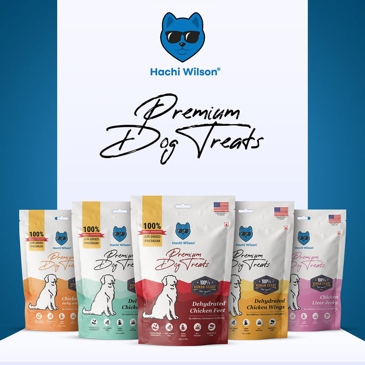 Hachi Wilson Chicken Liver Jerky Premium Cat Treat - 70g