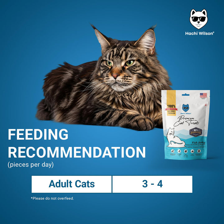 Hachi Wilson Ocean Fish Sardine & Mackerel Cat Treat - 35g