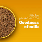 Pedigree Meat & Milk Dry Dog Food - All Breed Puppy - Zigly