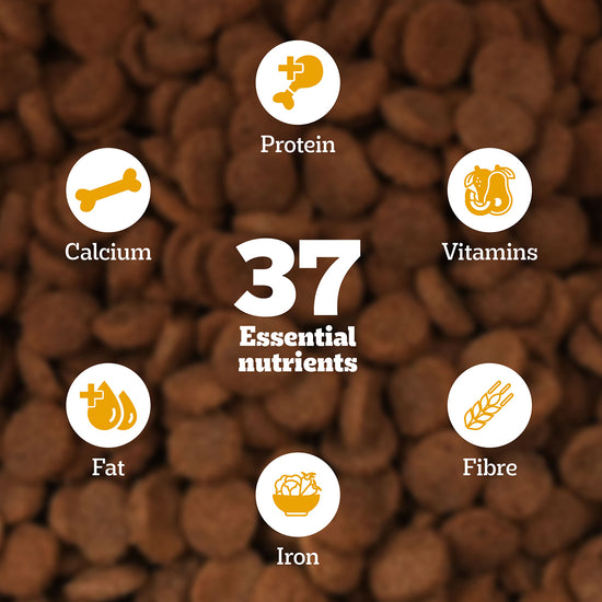 pedigree-meat-milk-dry-dog-food-all-breed-puppy