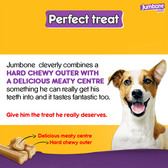 pedigree-jumbone-chicken-lamb-mini-adult-dog-treat-4-sticks-160g