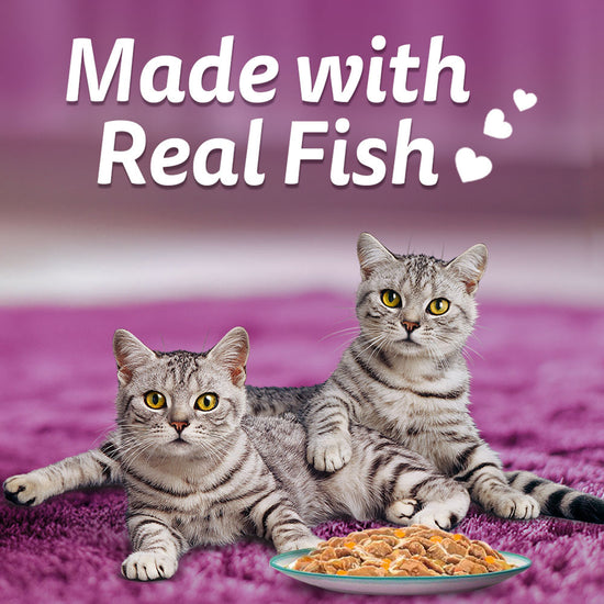 Whiskas Tasty Mix Chicken With Tuna And Carrot In Gravy Wet Cat Food - All Breed Adult (1+ year)