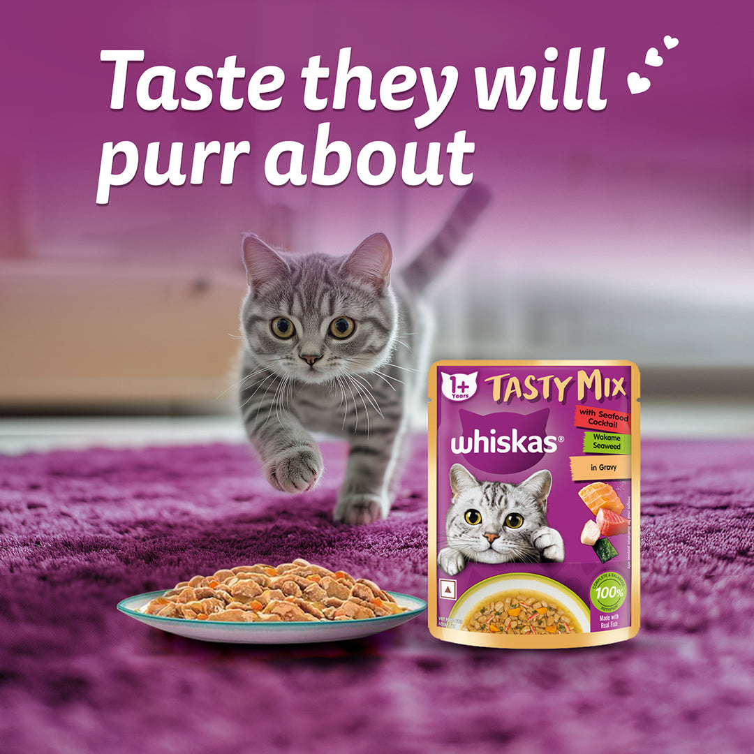 Whiskas Tasty Mix Seafood Cocktail Wakame Seaweed In Gravy Wet Cat Food - All Breed Adult (1+ year)