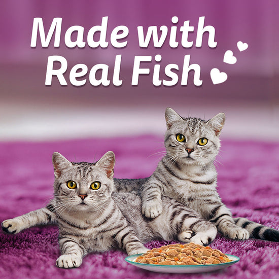 Whiskas Tasty Mix Seafood Cocktail Wakame Seaweed In Gravy Wet Cat Food - All Breed Adult (1+ year)