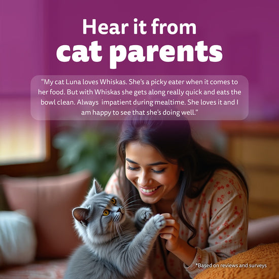 Whiskas Tasty Mix Chicken With Salmon Wakame Seaweed In Gravy Wet Cat Food - All Breed Adult (1+ year)