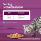 Whiskas Tasty Mix Chicken With Salmon Wakame Seaweed In Gravy Wet Cat Food - All Breed Adult (1+ year)