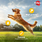 Pedigree Meat Jerky Grilled Liver Adult Dog Meaty Treat - 80g