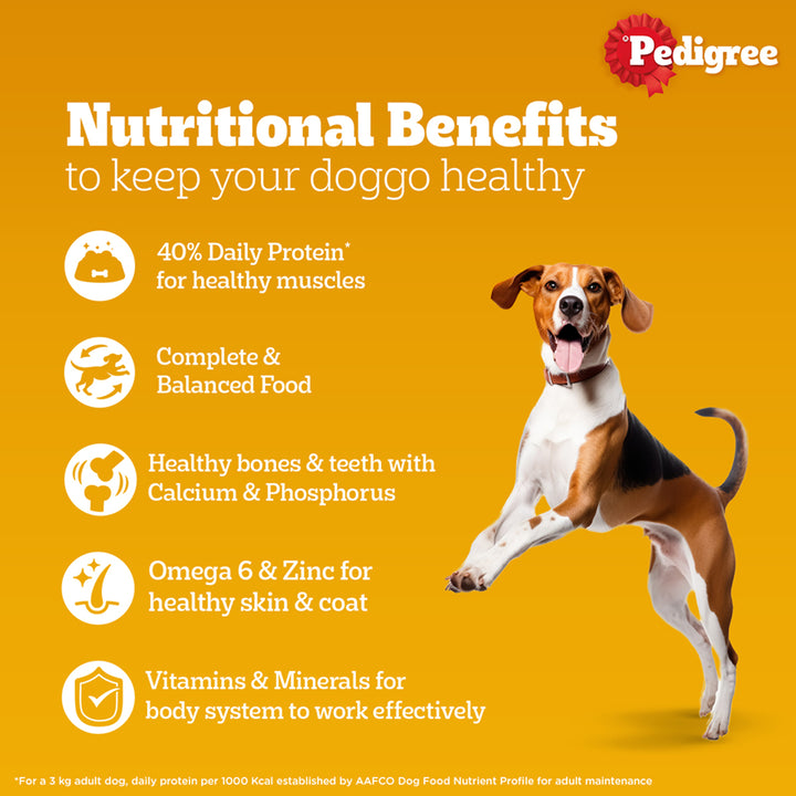 Pedigree Chicken & Liver Chunks in Gravy Wet Dog Food - All Breed Adult