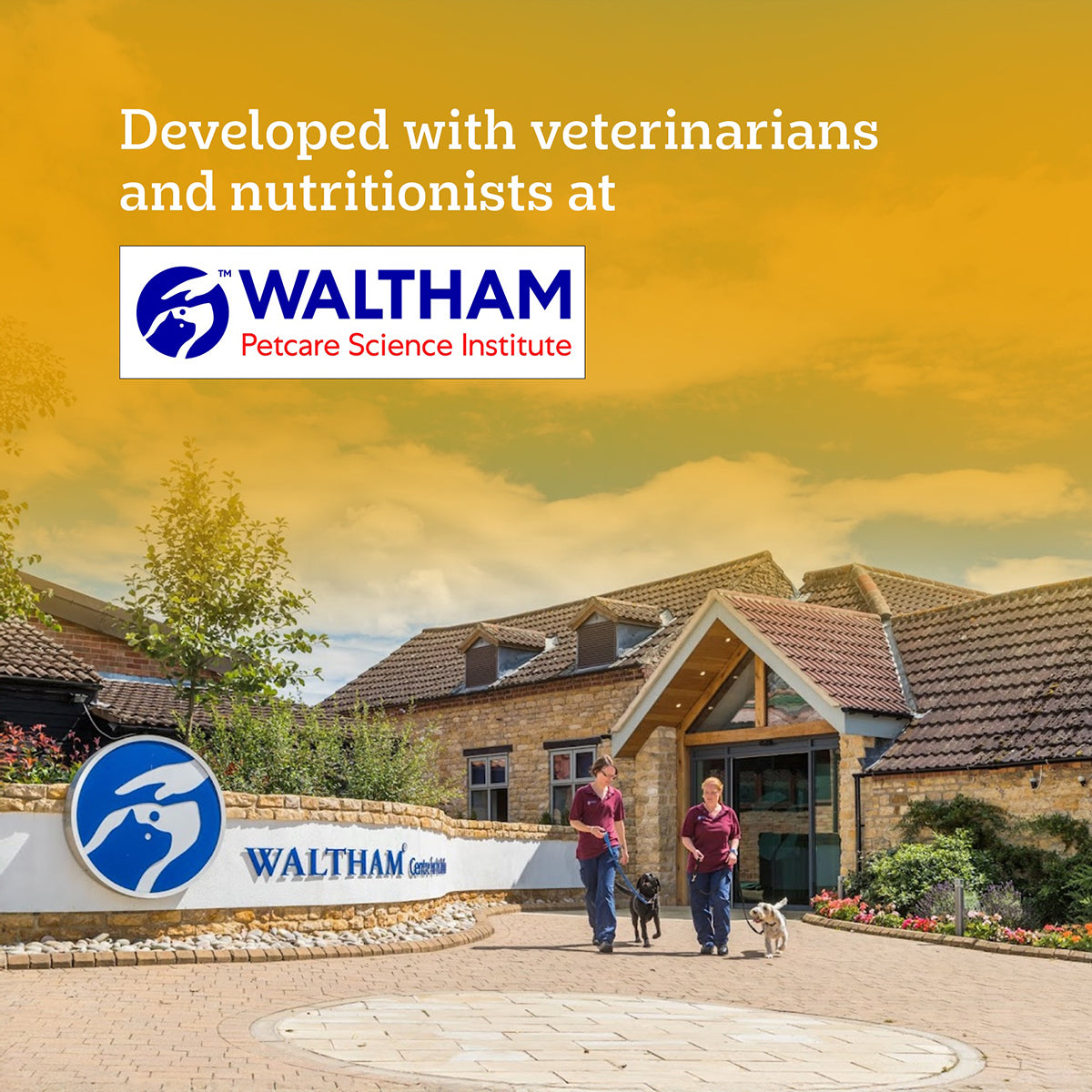 Pedigree Chicken & Liver Chunks in Gravy Wet Dog Food - All Breed Adult