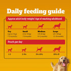 Pedigree Chicken & Liver Chunks in Gravy Adult Wet Dog Food - All Breed Adult