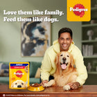 Pedigree Chicken & Liver Chunks in Gravy Adult Wet Dog Food - All Breed Adult