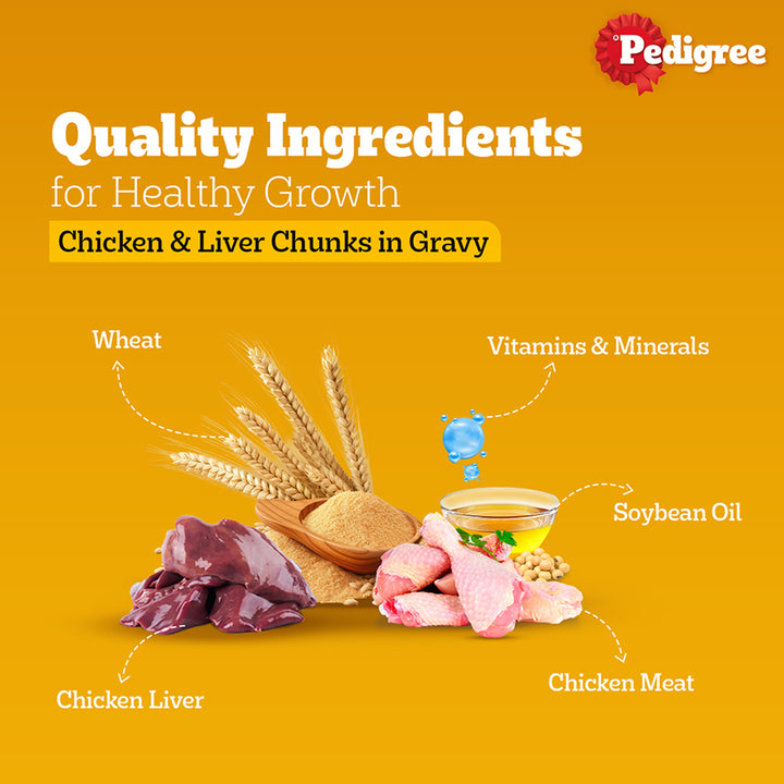 Pedigree Chicken & Liver Chunks in Gravy Wet Dog Food - All Breed Adult