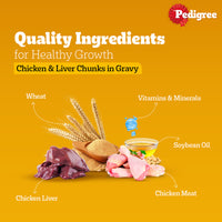 Pedigree Chicken & Liver Chunks in Gravy Wet Dog Food - All Breed Adult