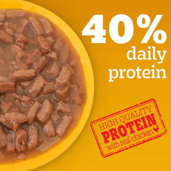 Pedigree Chicken & Liver Chunks in Gravy Wet Dog Food - All Breed Adult