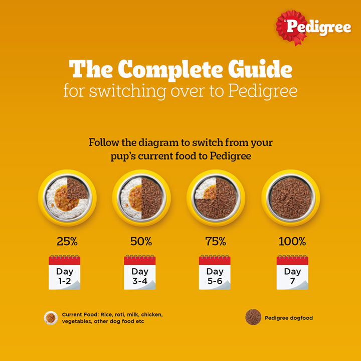 Pedigree Chicken & Liver Chunks in Gravy Wet Dog Food - All Breed Adult