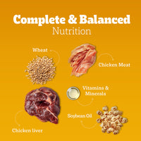 Pedigree Chicken & Liver Chunks in Gravy Wet Dog Food - All Breed Adult