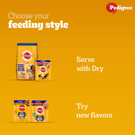 pedigree-chicken-liver-chunks-in-gravy-wet-dog-food-all-breed-adult