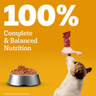 Pedigree Chicken & Liver Chunks in Gravy Adult Wet Dog Food - All Breed Adult