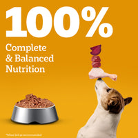 Pedigree Chicken & Liver Chunks in Gravy Wet Dog Food - All Breed Adult